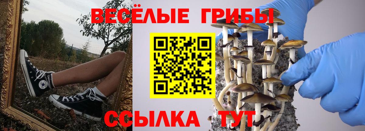 Галлюциногенные грибы мухоморы  Вход с VPN  Заводоуковск 