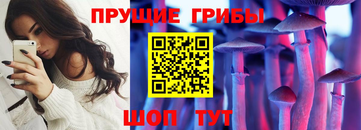 Галлюциногенные грибы мицелий Заводоуковск